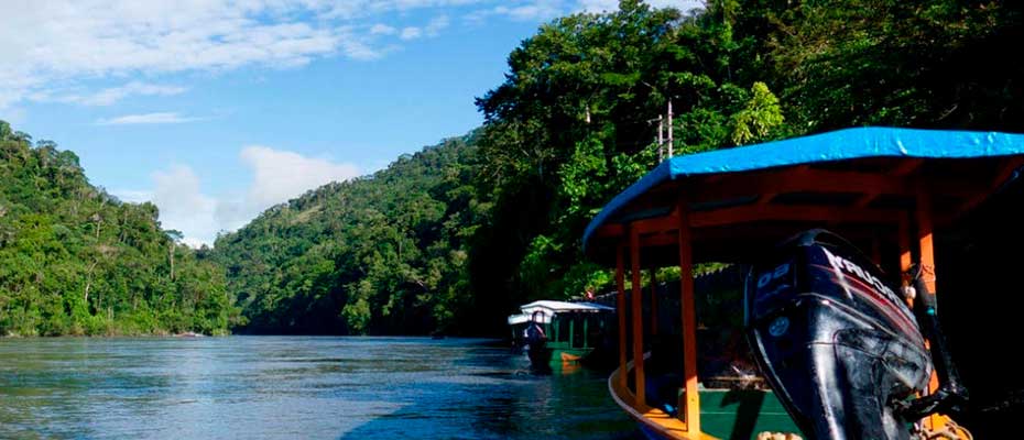 Day 3: DAY 3: AMAZON MANU LODGE - HOT SPRING - CUSCO